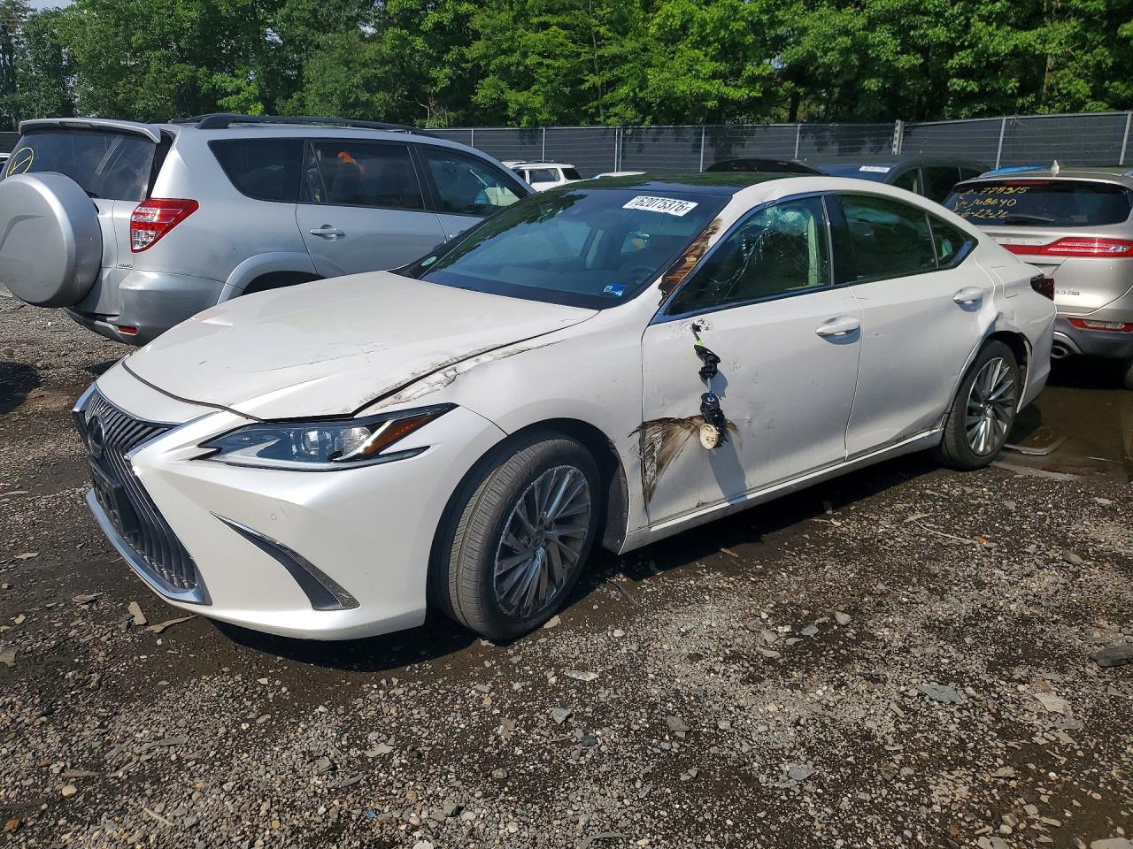 2019 Lexus ES 350, VIN 58ABZ1B10KU039276 — По всему кузову