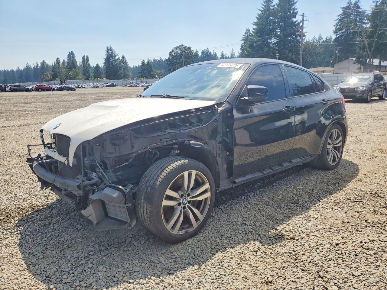 2011 BMW X6 M, VIN 5YMGZ0C5XBLK14062 — Front end