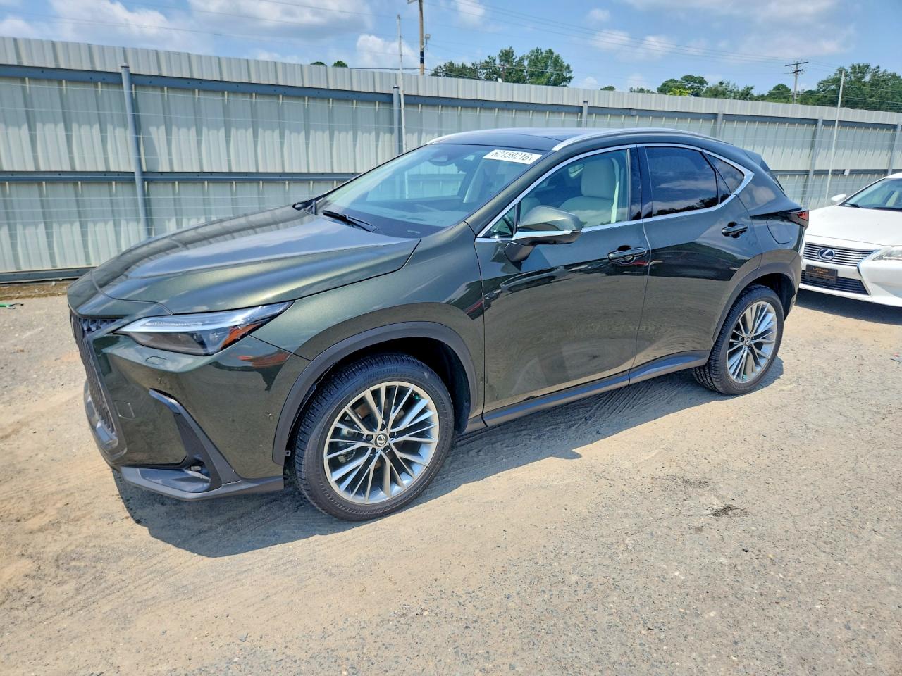 2026 Lexus NX 350h Luxury, VIN 2T2HKCEZ6TC058917 — Вода / потоп