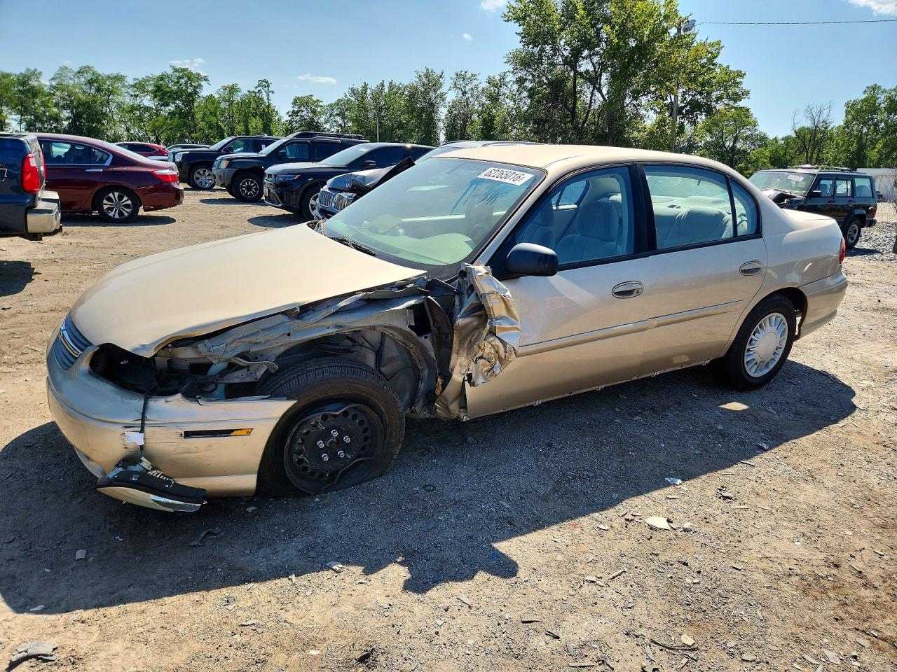 2005 Chevrolet Malibu Classic, VIN 1G1ND52F25M196119 — Front end