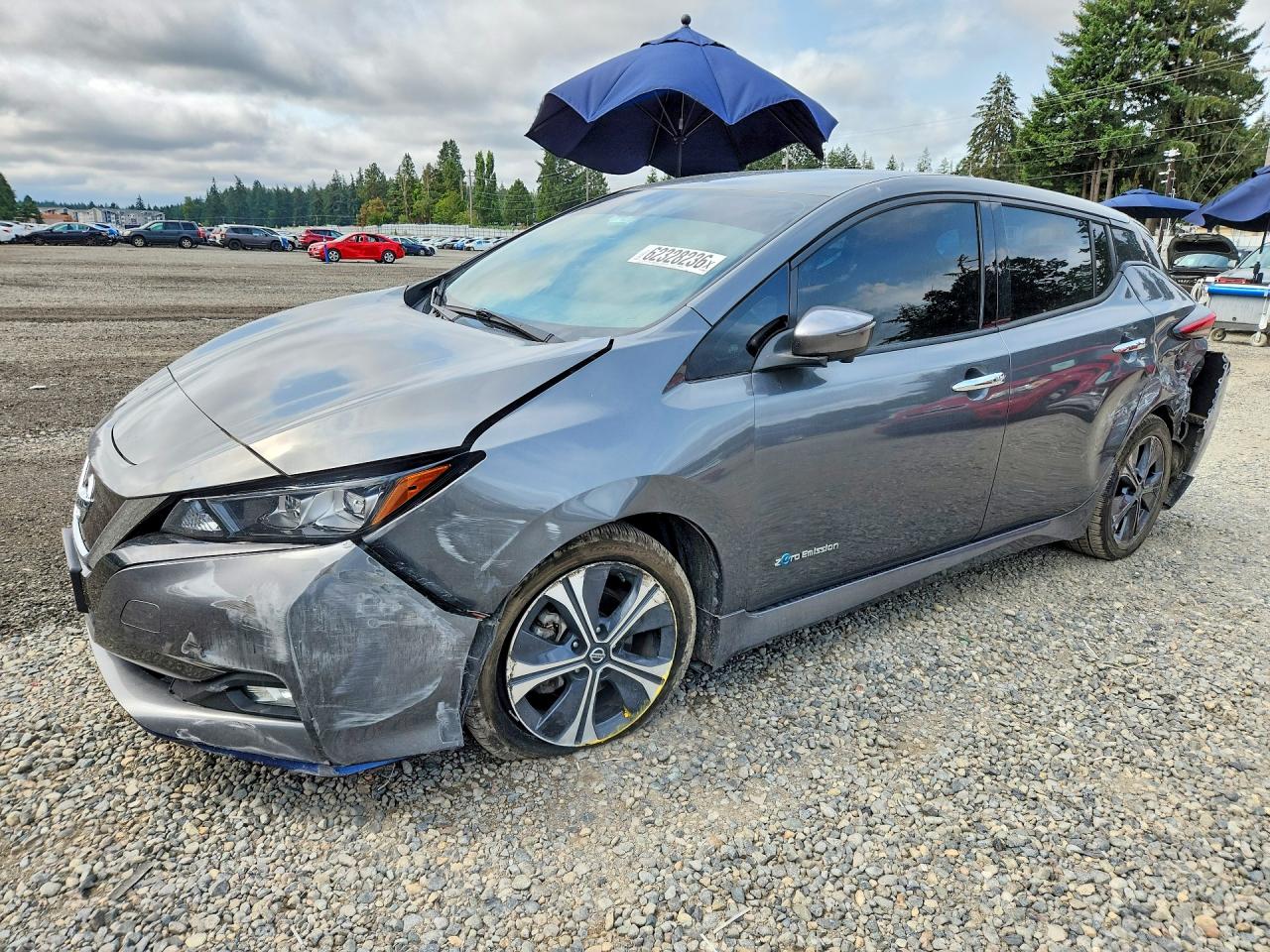 2019 Nissan LEAF SL Plus, VIN 1N4BZ1CP4KC312956 — Зад
