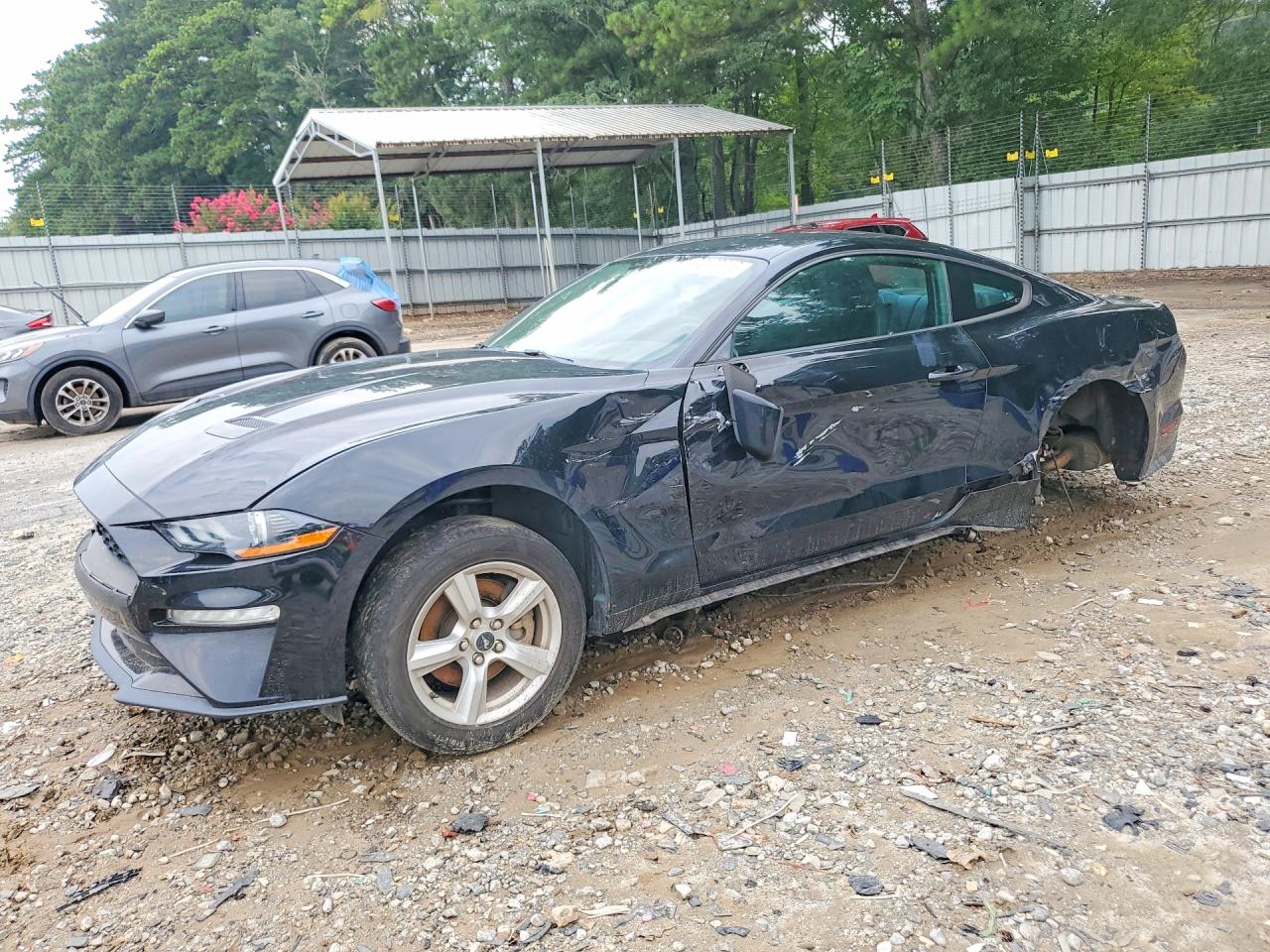 2019 Ford Mustang EcoBoost, VIN 1FA6P8TH6K5116434 — Side