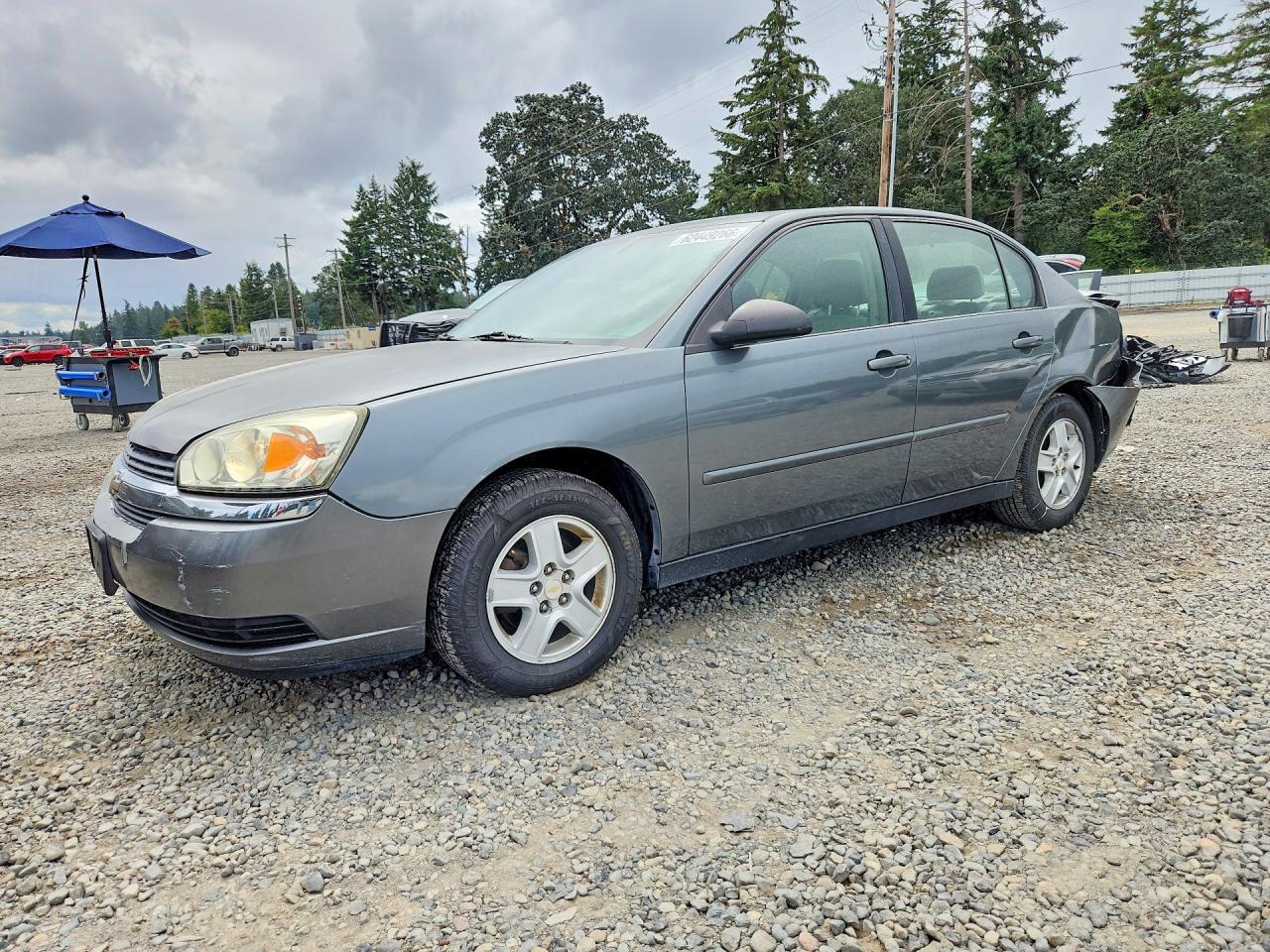 2005 Chevrolet Malibu LS, VIN 1G1ZT54835F316047 — Зад