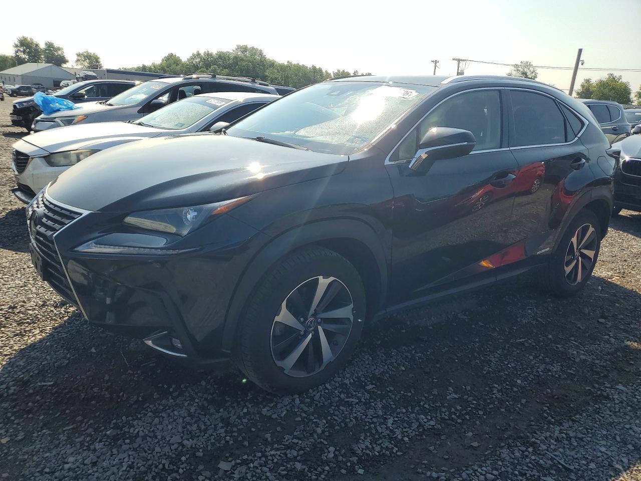 2020 Lexus NX 300h, VIN JTJGJRDZ1L2133168 — Water / flood