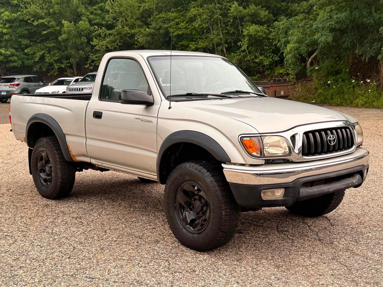 2003 Toyota Tacoma, VIN 5TEPM62N13Z178633 — Обычный износ