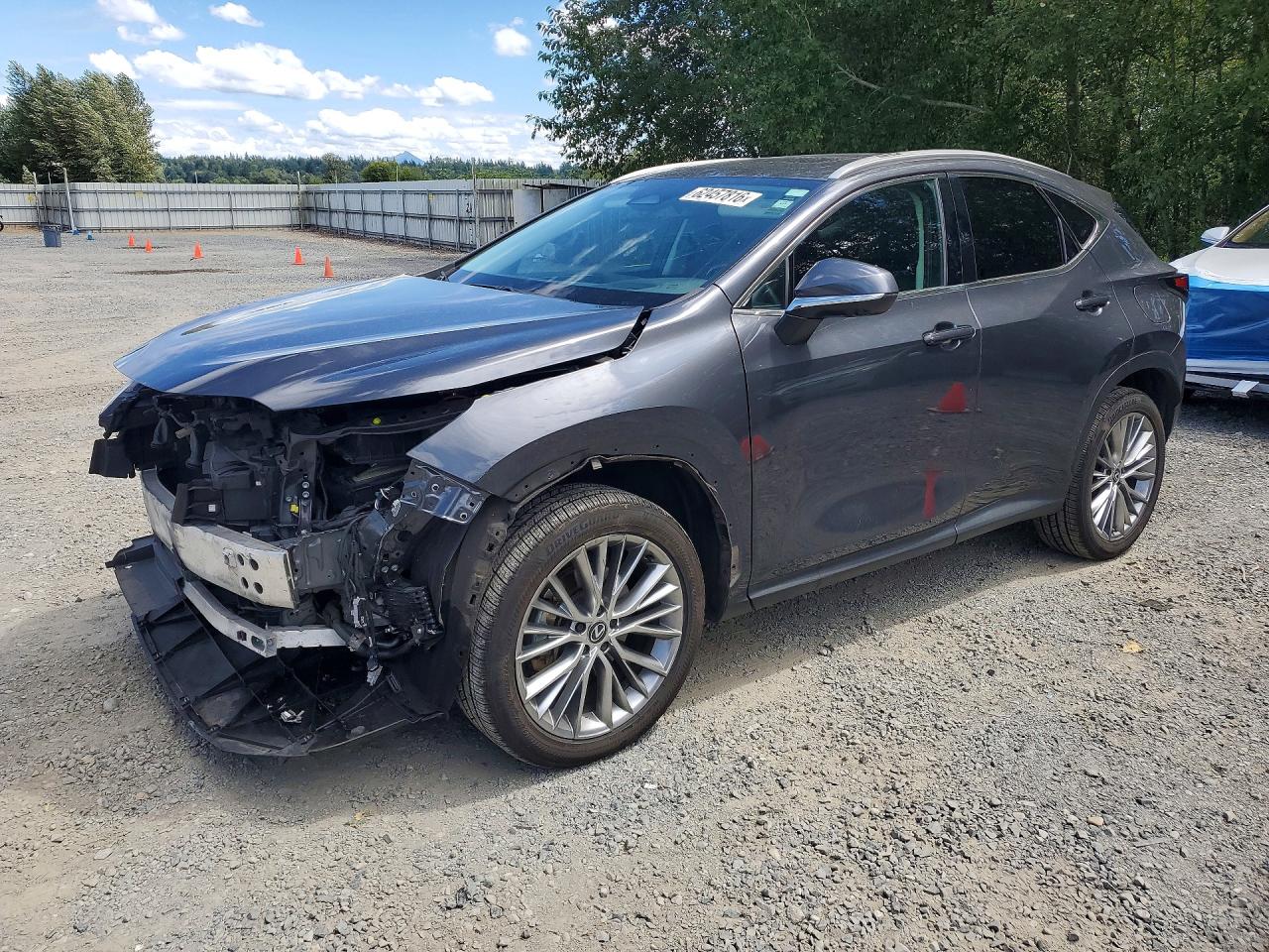 2024 Lexus NX 350h Luxury, VIN 2T2HKCEZXRC024598 — Перед