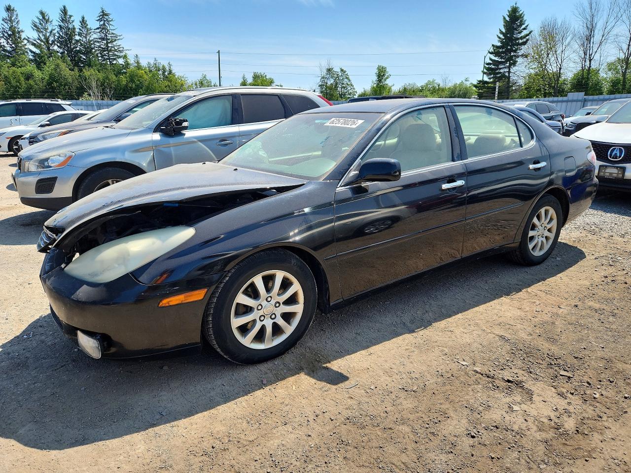 2003 Lexus ES 300, VIN JTHBF30G730141110 — Front end