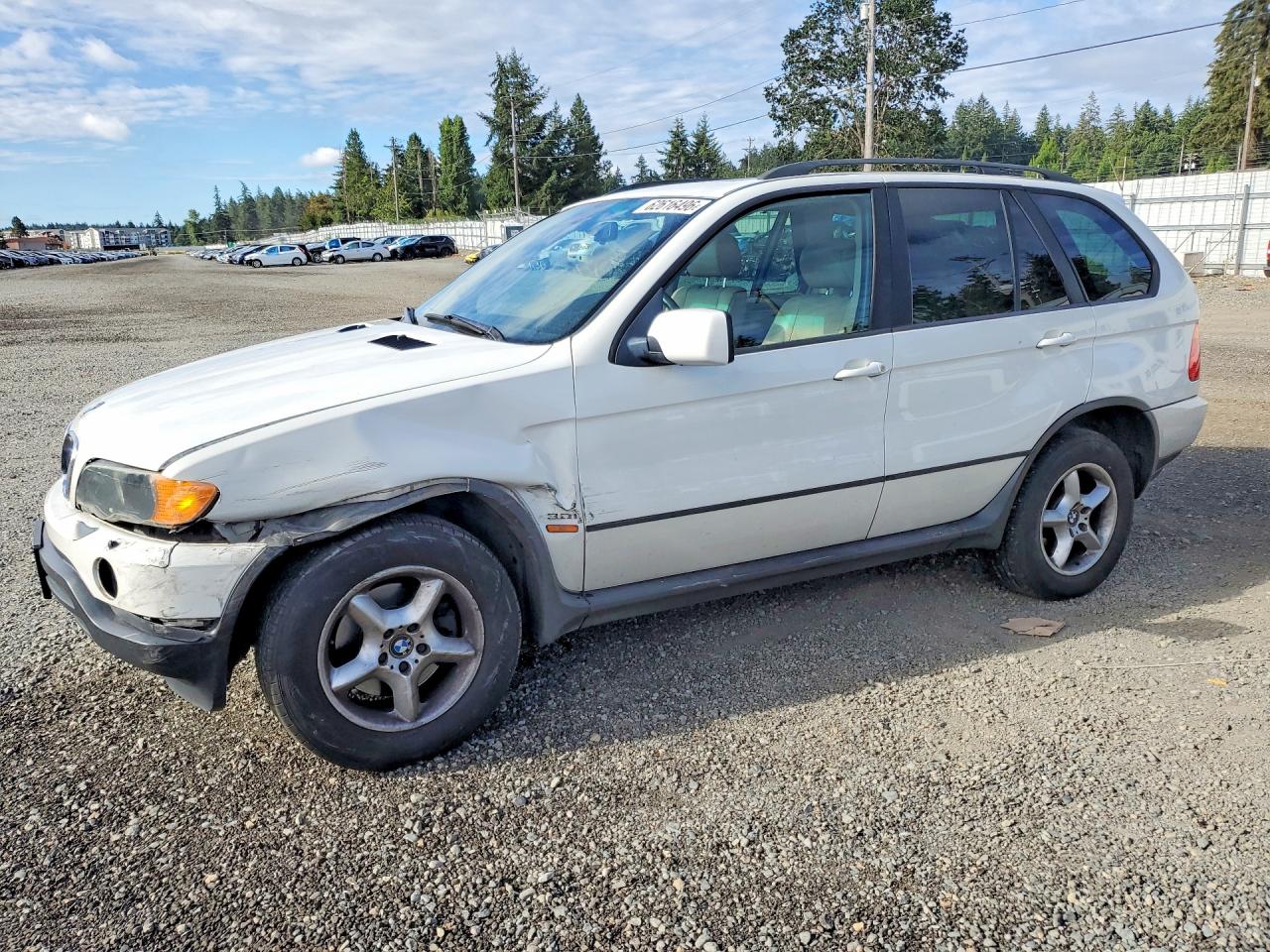 2002 BMW X5 3.0i, VIN 5UXFA53572LP35361 — Front end