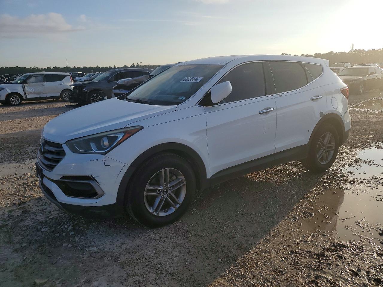 2017 Hyundai Santa Fe 2.4L, VIN 5NMZT3LB7HH033604 — Roof