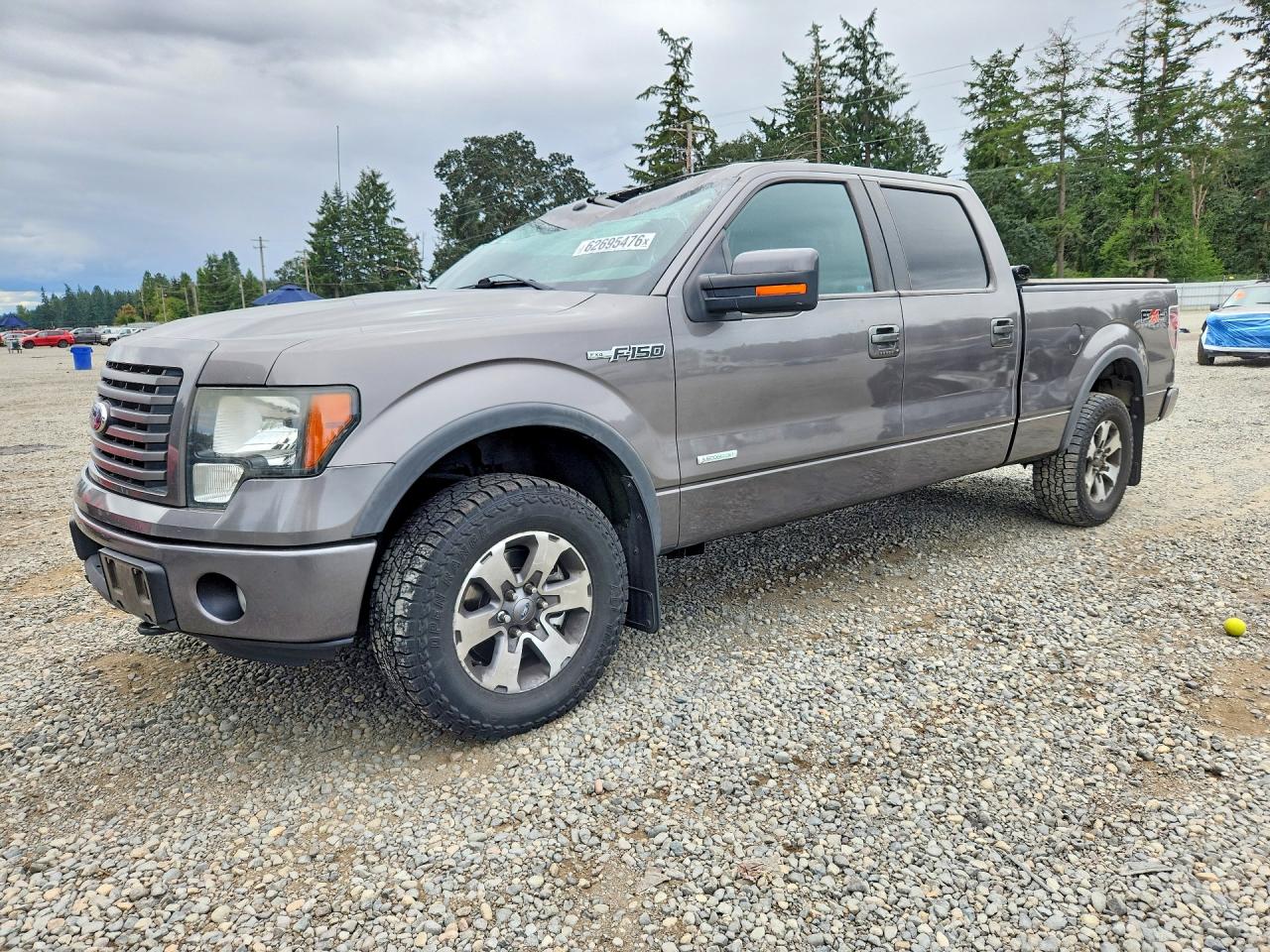 2011 Ford F-150 XLT, VIN 1FTFW1ETXBFC79863 — Roof