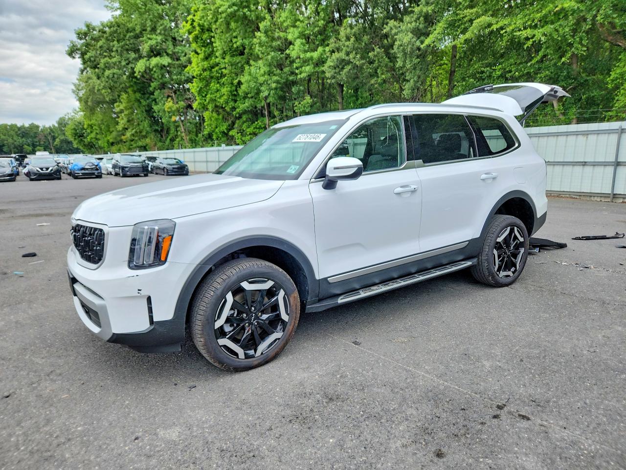 2024 Kia Telluride EX, VIN 5XYP34GC3RG511920 — Зад