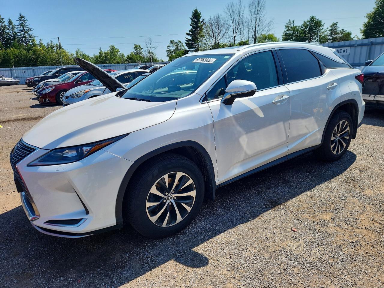 2020 Lexus RX 350, VIN 2T2HZMDAXLC250693 — Вандализм