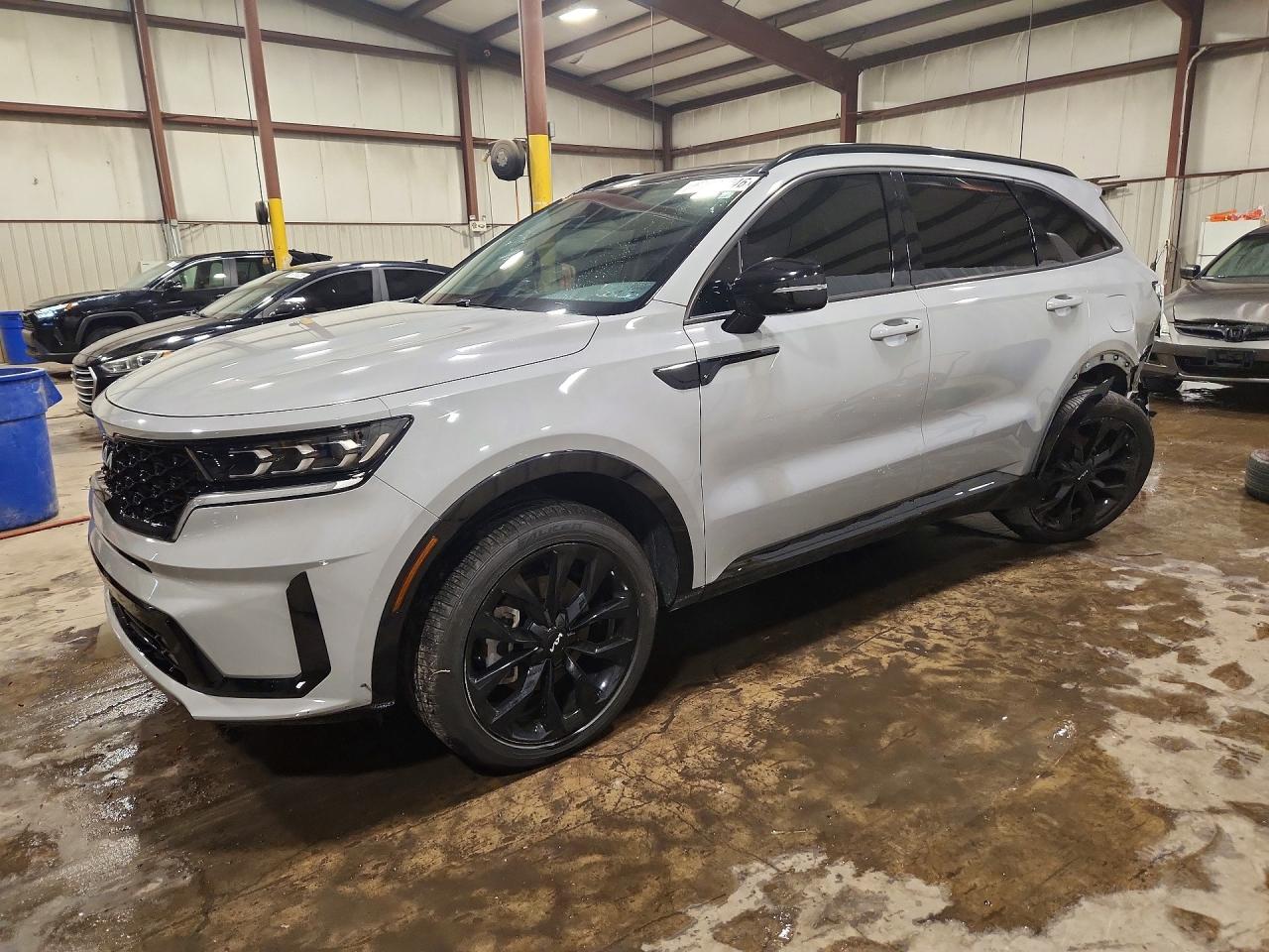 2023 Kia Sorento X-Line SX Prestige, VIN 5XYRKDLF3PG186856 — Зад