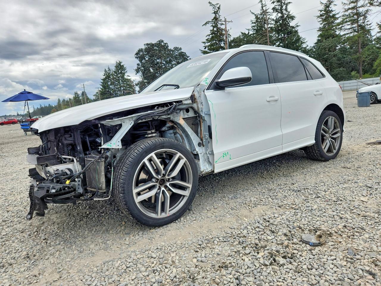 2014 Audi SQ5 Prestige, VIN WA1VGAFP3EA098724 — Front end