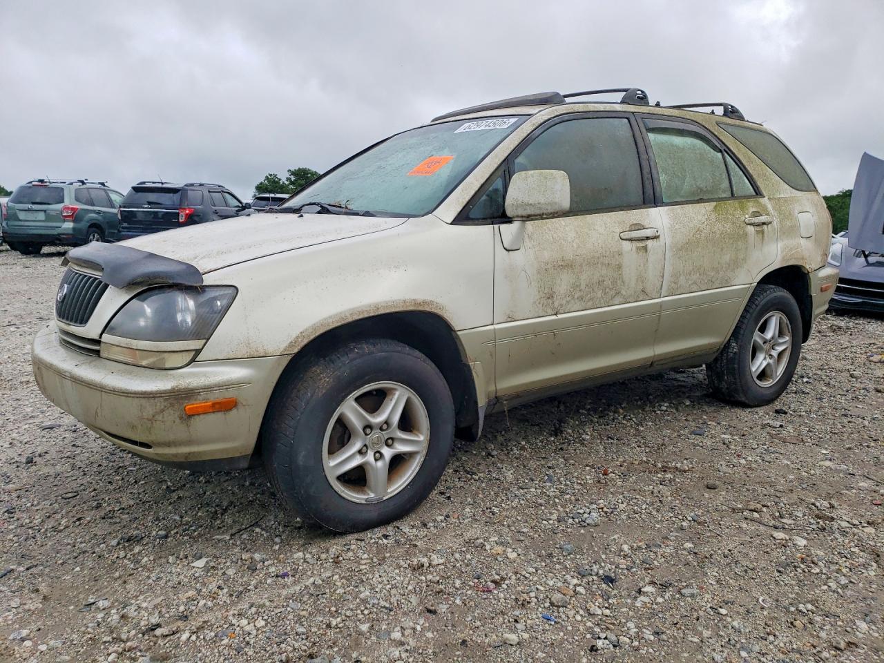 1999 Lexus RX 300, VIN JT6HF10U8X0060393 — Мелкие вмятины и царапины