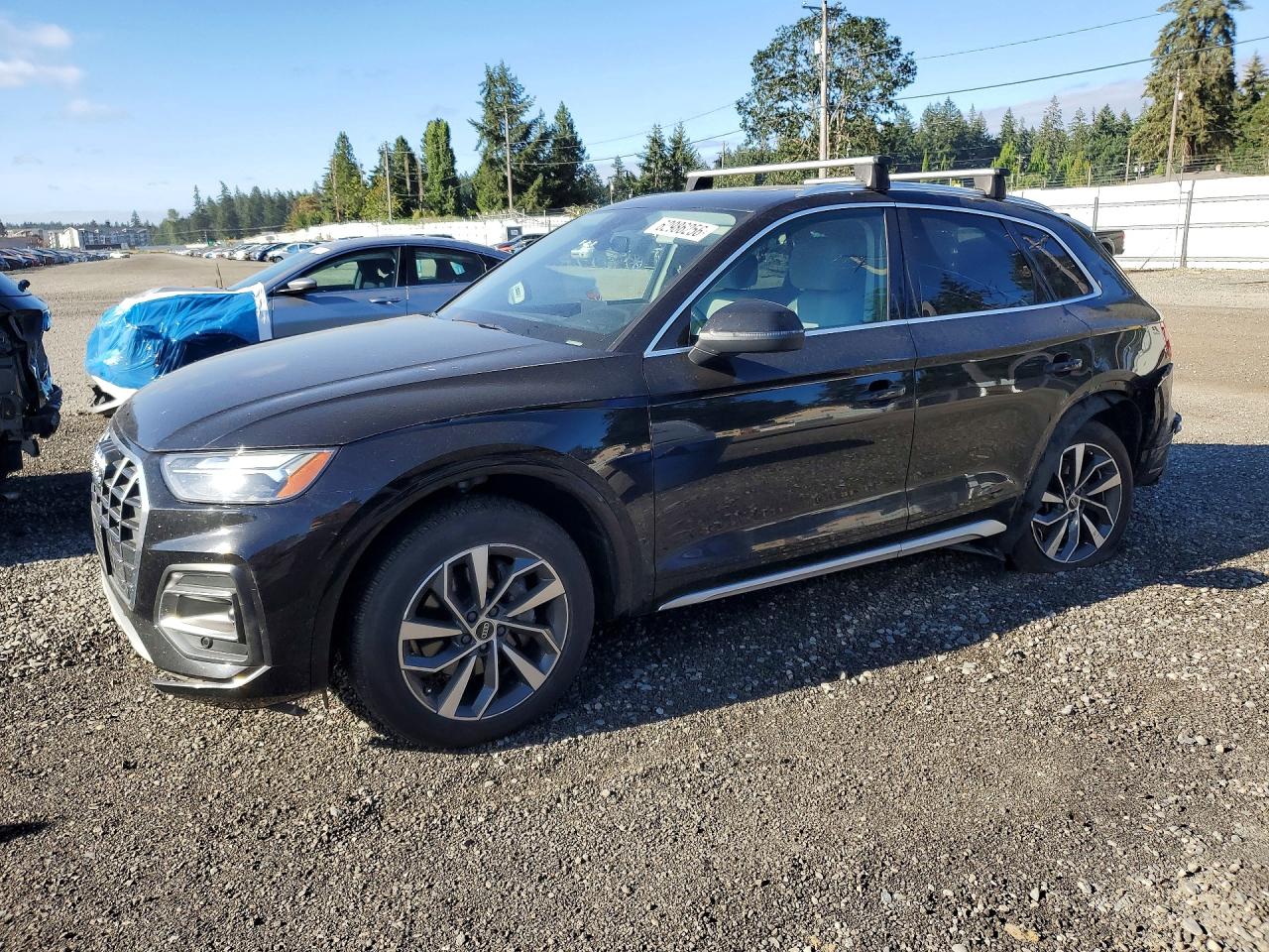 2021 Audi Q5 Premium Plus, VIN WA1BAAFY4M2106755 — Rear end