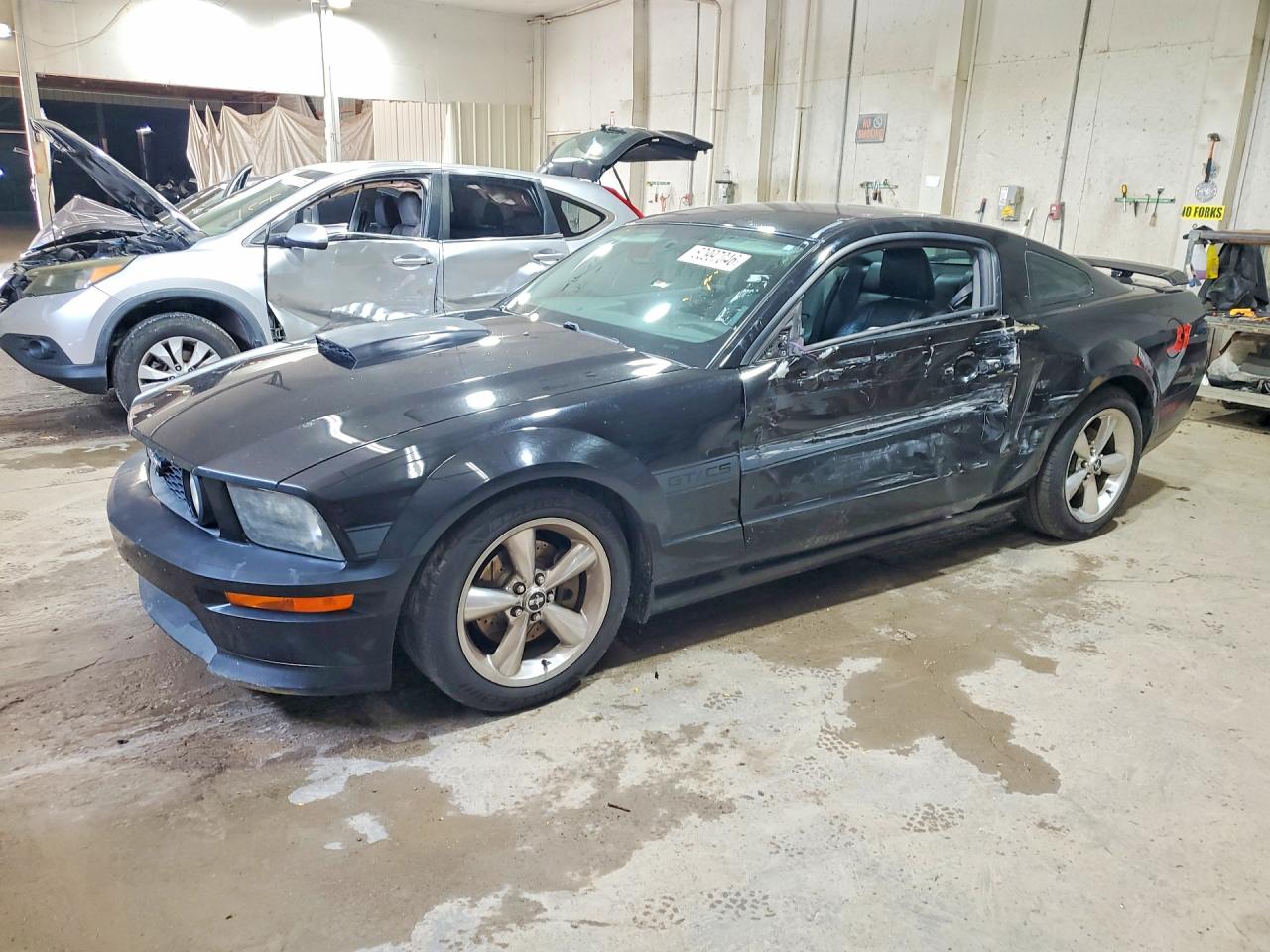 2009 Ford Mustang GT, VIN 1ZVHT82H495122840 — Side