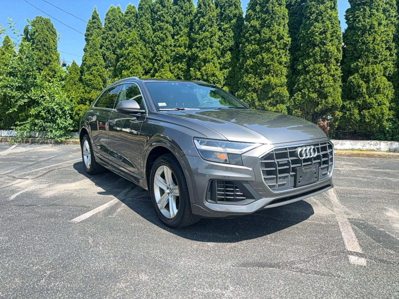 2019 Audi Q8 Premium, VIN WA1AVAF10KD018936 — Обычный износ