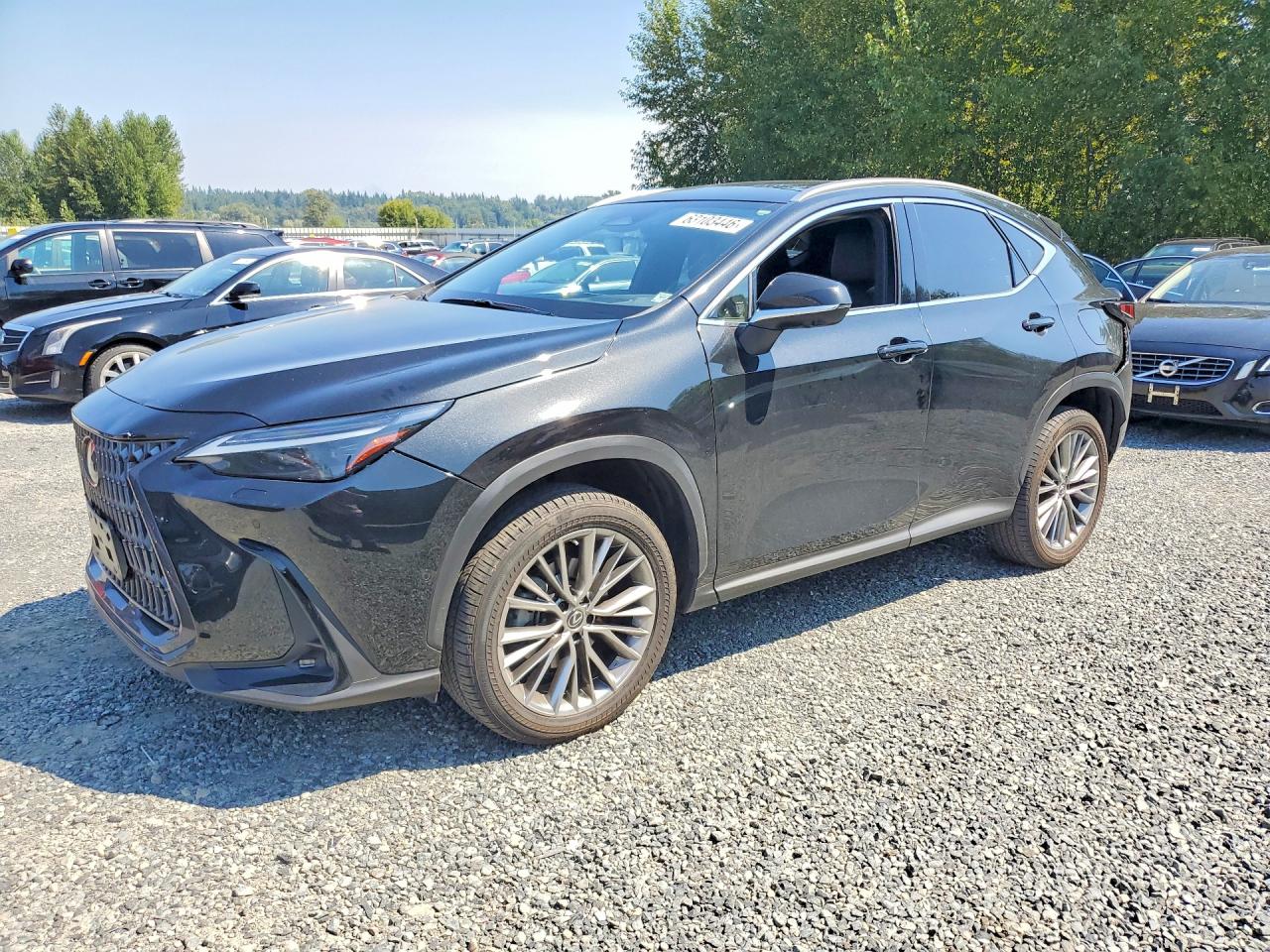 2022 Lexus NX 350h Luxury, VIN JTJHKCEZ3N2003070 — Rear end