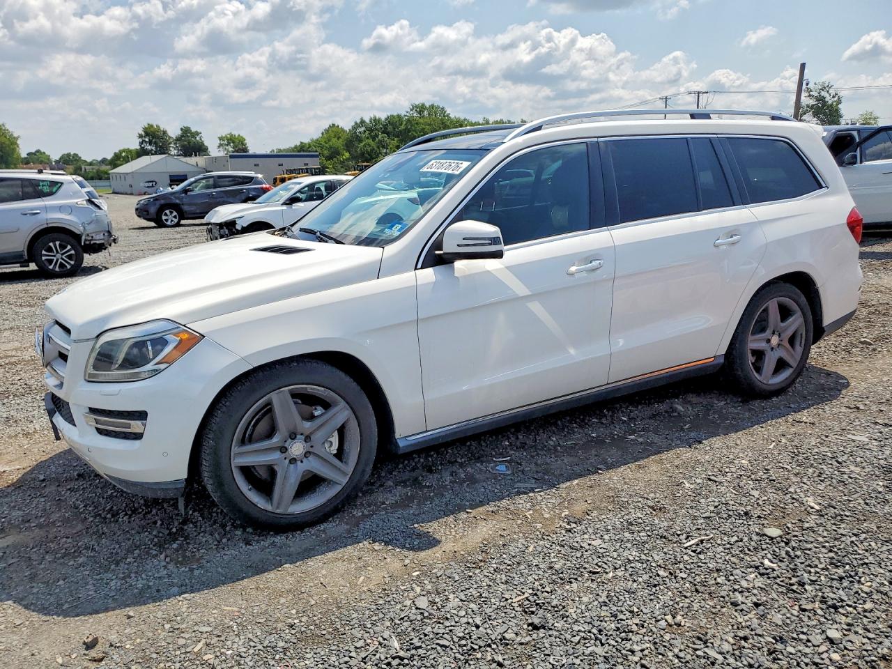 2014 Mercedes-Benz GL 450, VIN 4JGDF7CE1EA325138 — Minor dents and scratches