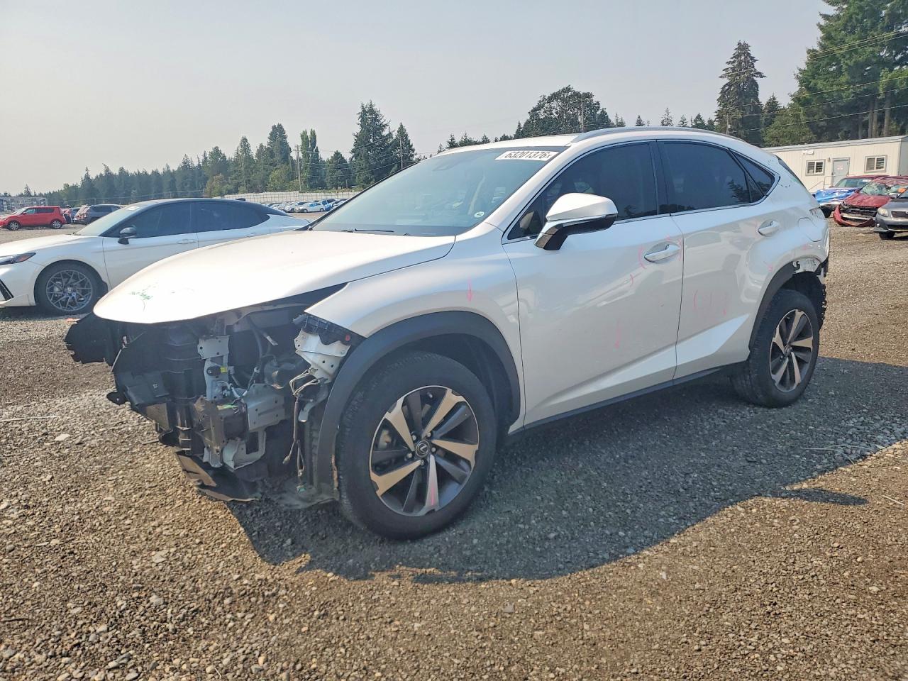 2020 Lexus NX 300, VIN JTJGARDZ9L5011446 — Rear end