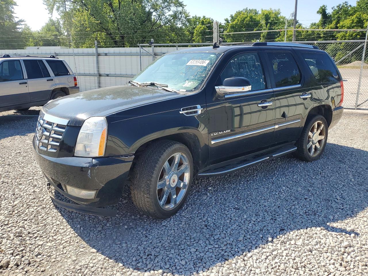 2011 Cadillac Escalade Luxury, VIN 1GYS4BEF1BR131470 — Front end