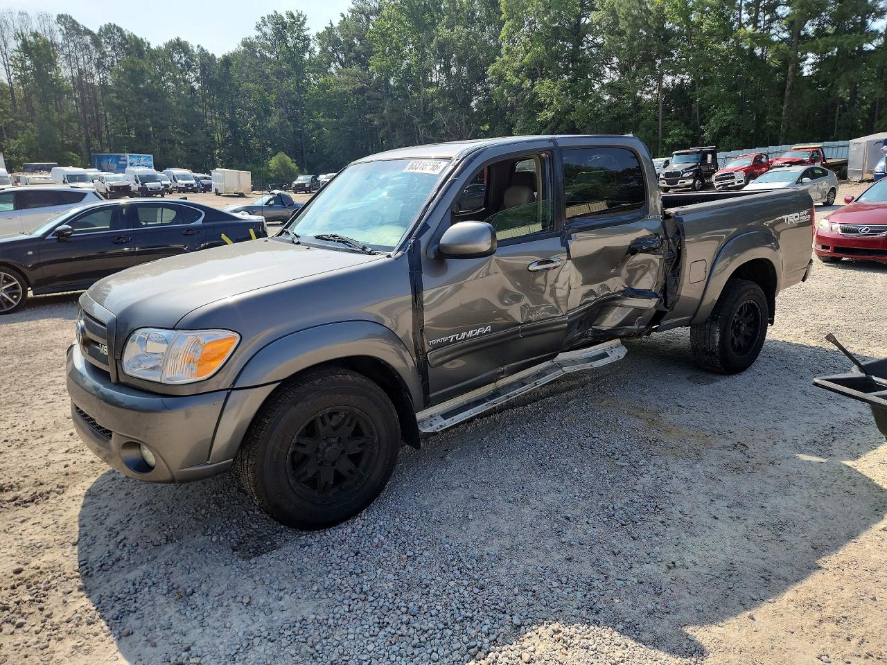 2005 Toyota Tundra Limited, VIN 5TBDT48195S501365 — По всему кузову