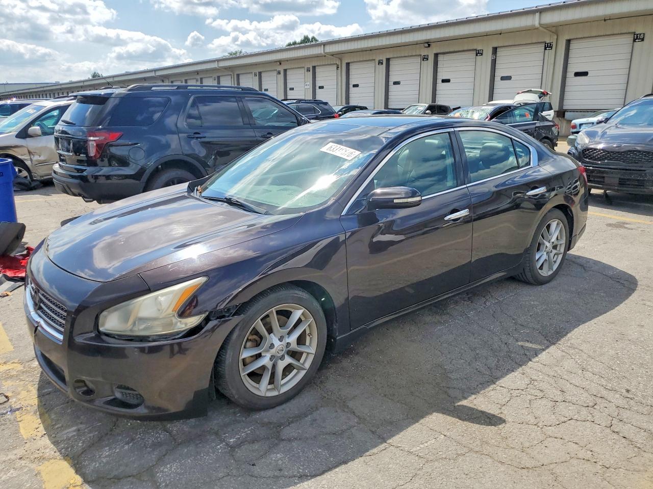 2010 Nissan Maxima SV, VIN 1N4AA5AP9AC855537 — Front end