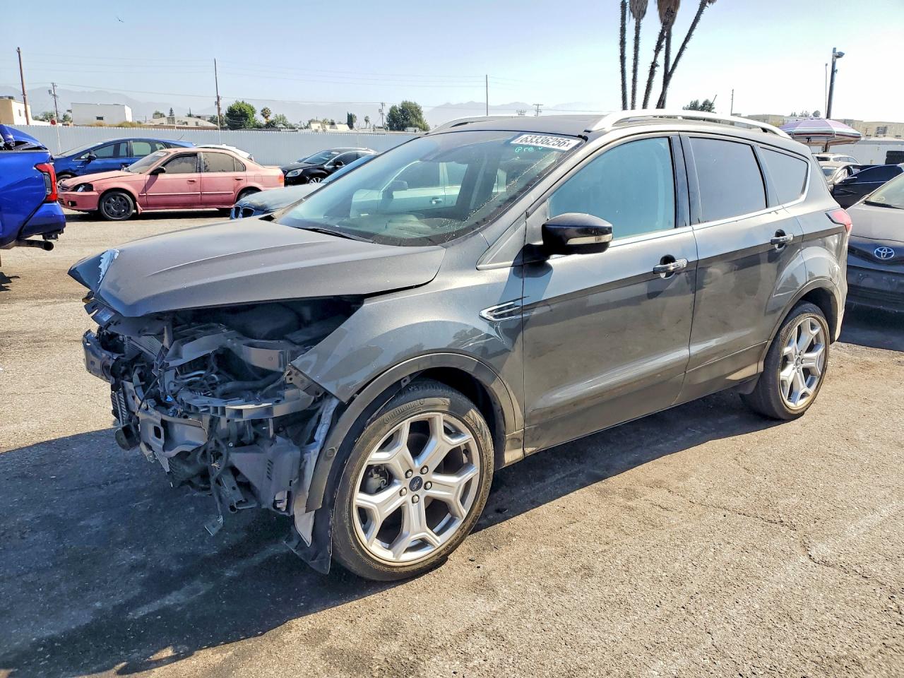 2019 Ford Escape Titanium, VIN 1FMCU0J91KUB79218 — Перед