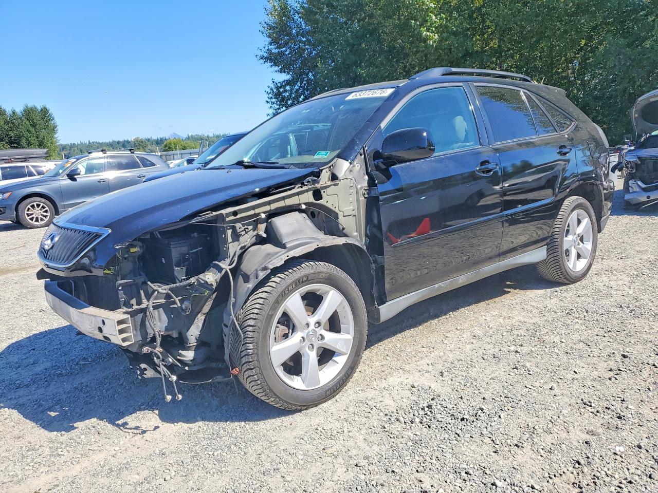 2005 Lexus RX 330, VIN 2T2GA31U85C039605 — Front end