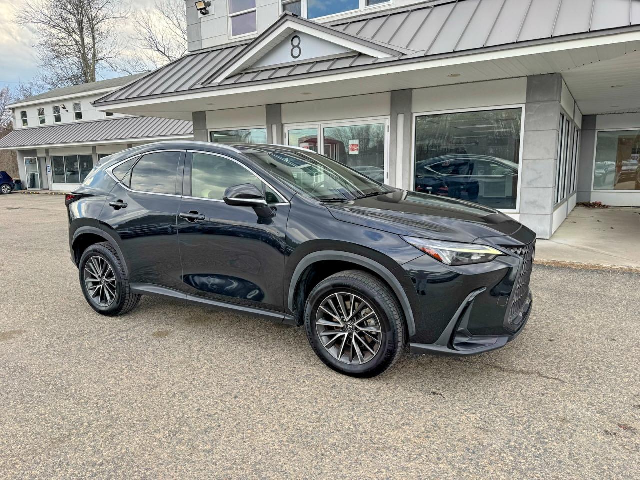 2022 Lexus NX 250, VIN JTJADCAZ5N2001984 — Minor dents and scratches