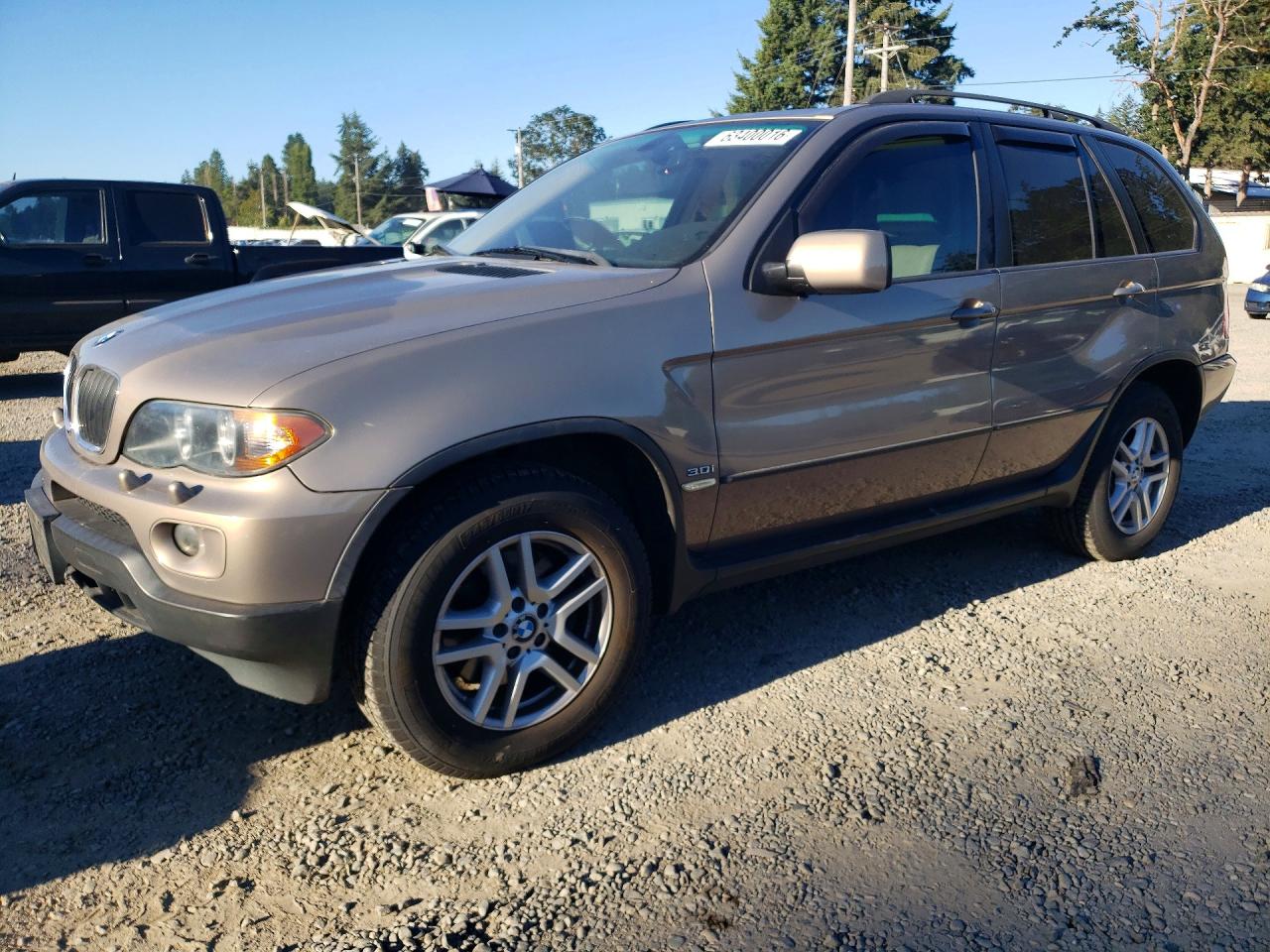 2005 BMW X5 3.0i, VIN 5UXFA13595LY10557 — Механическое