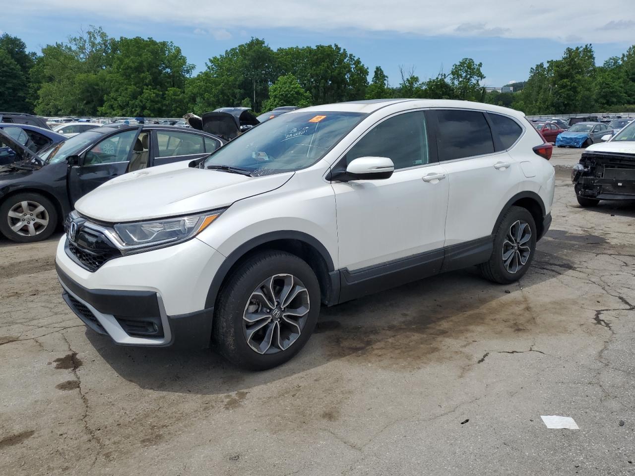 2020 Honda CR-V EX-L, VIN 5J6RW2H85LA020524 — Missing or altered VIN