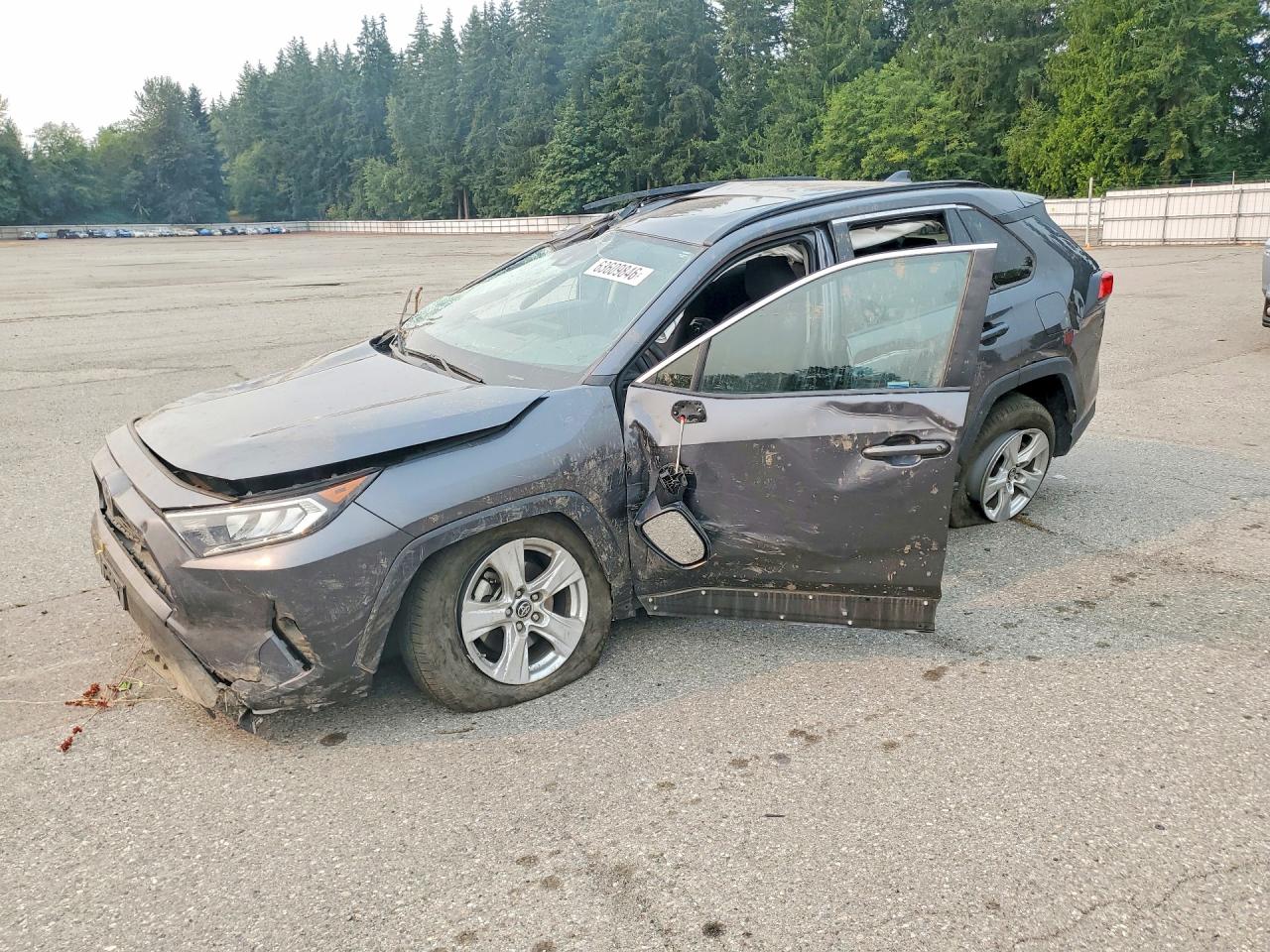 2019 Toyota RAV4 XLE, VIN 2T3P1RFV0KC015875 — Rollover