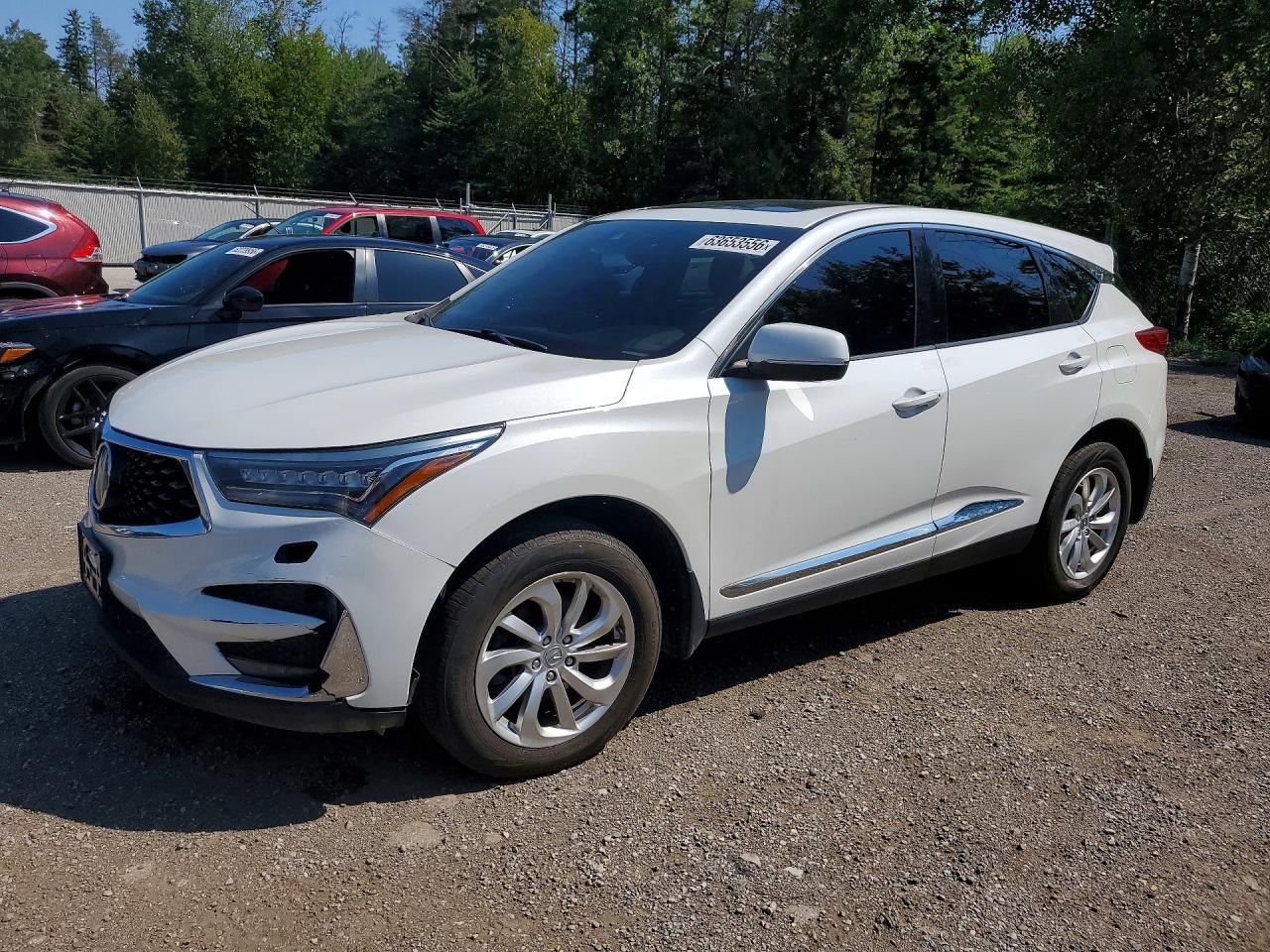 2020 Acura RDX Platinum Elite, VIN 5J8TC2H94LL801909 — Vandalism