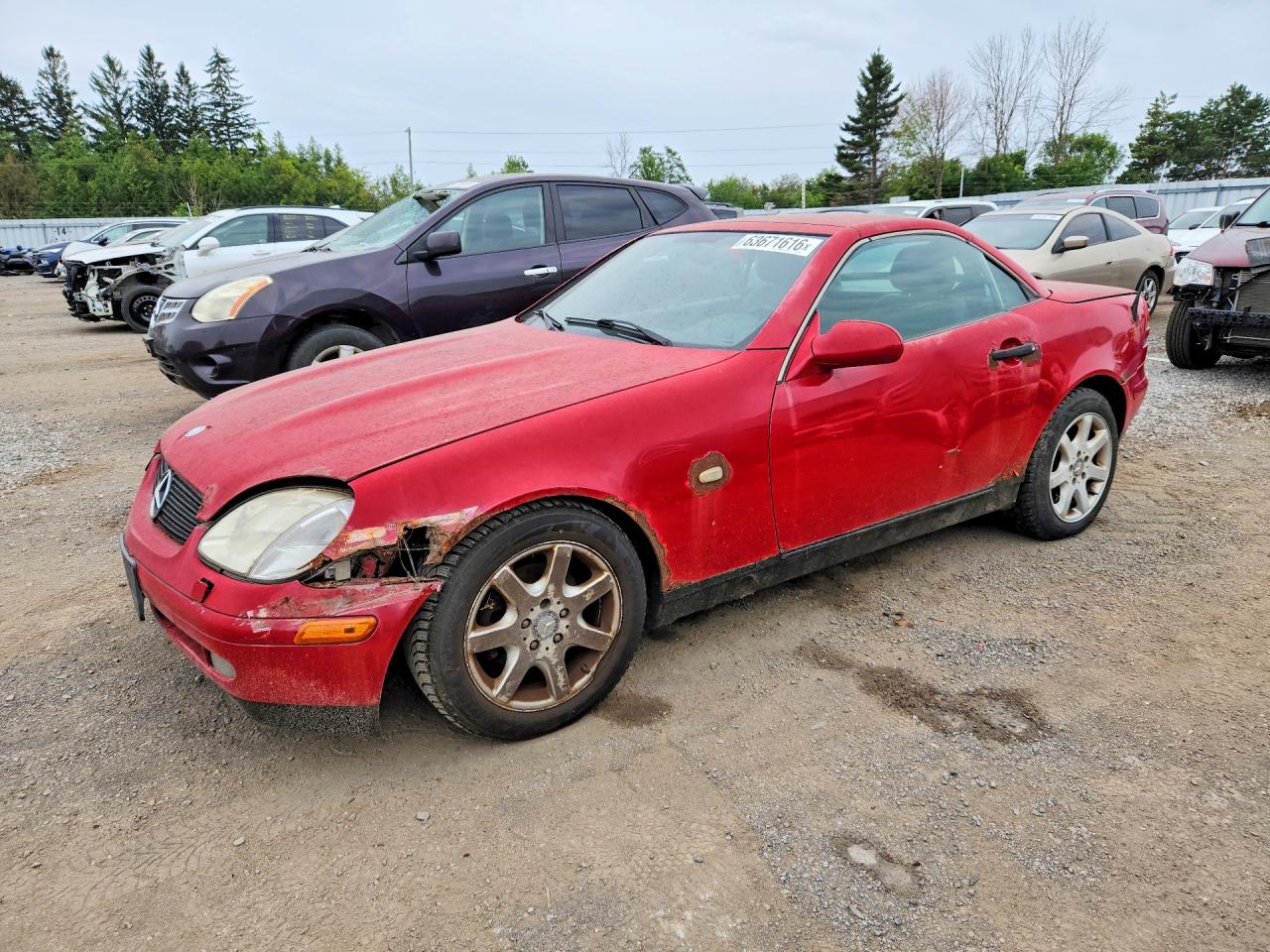 1998 Mercedes-Benz SLK 230/320, VIN WDBKK47F8WF078762 — Front end