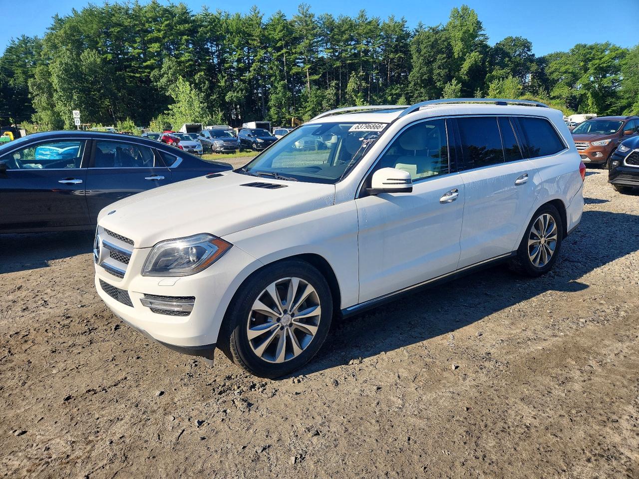2014 Mercedes-Benz GL 350, VIN 4JGDF2EE4EA363043 — Minor dents and scratches
