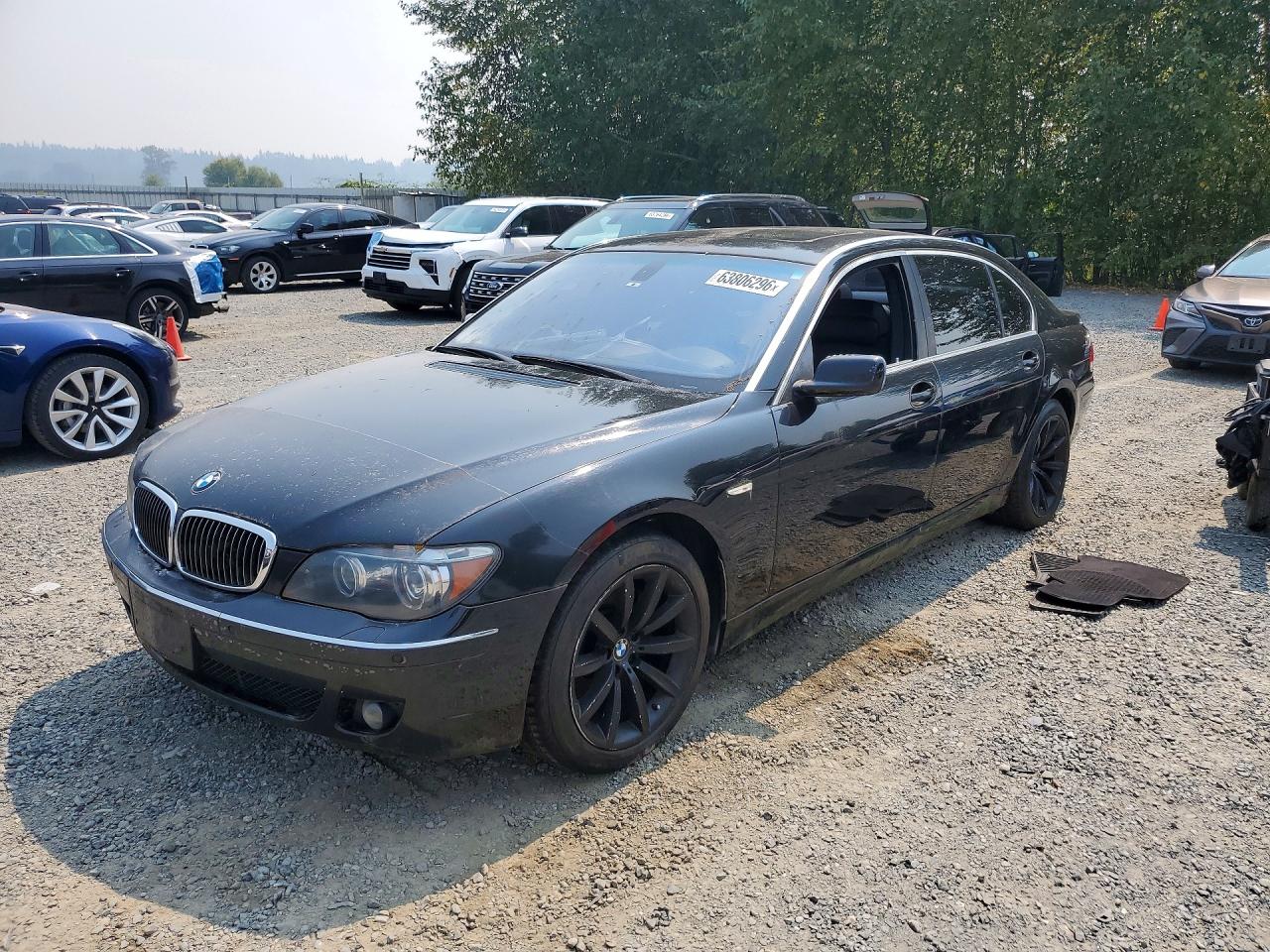 2007 BMW 7 Series 750Li, VIN WBAHN83597DT66565 — Мелкие вмятины и царапины