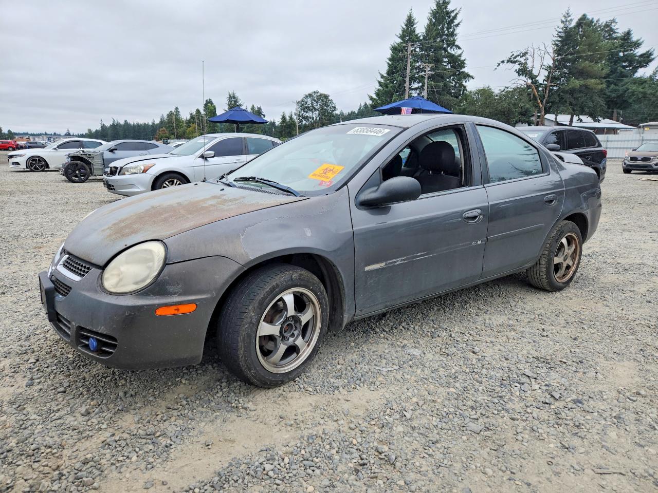 2004 Dodge Neon SXT, VIN 1B3ES56C34D535600 — Бок