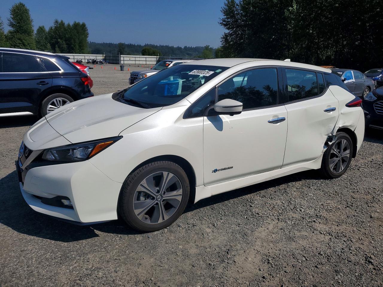 2019 Nissan LEAF SL Plus, VIN 1N4BZ1CP9KC310815 — Бок