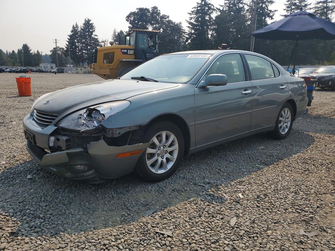 2002 Lexus ES 300, VIN JTHBF30G220041737 — Front end