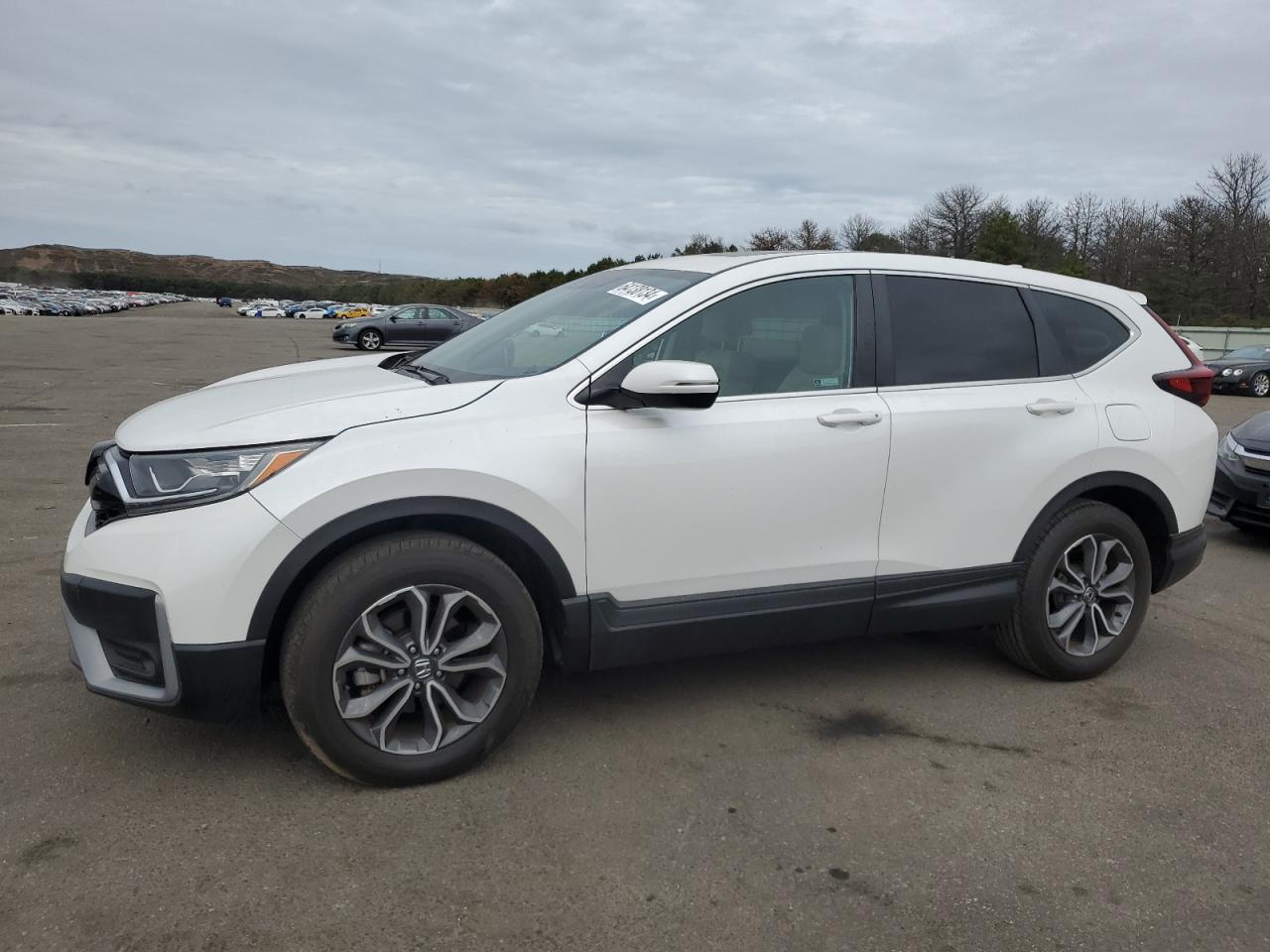 2022 Honda CR-V EX, VIN 5J6RW2H53NA008235 — Missing or altered VIN