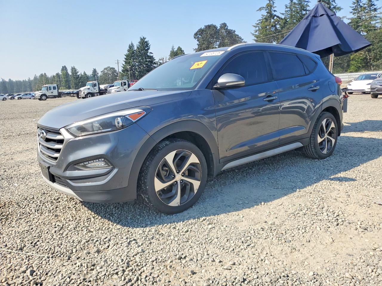 2017 Hyundai Tucson Sport, VIN KM8J3CA26HU394116 — Vandalism