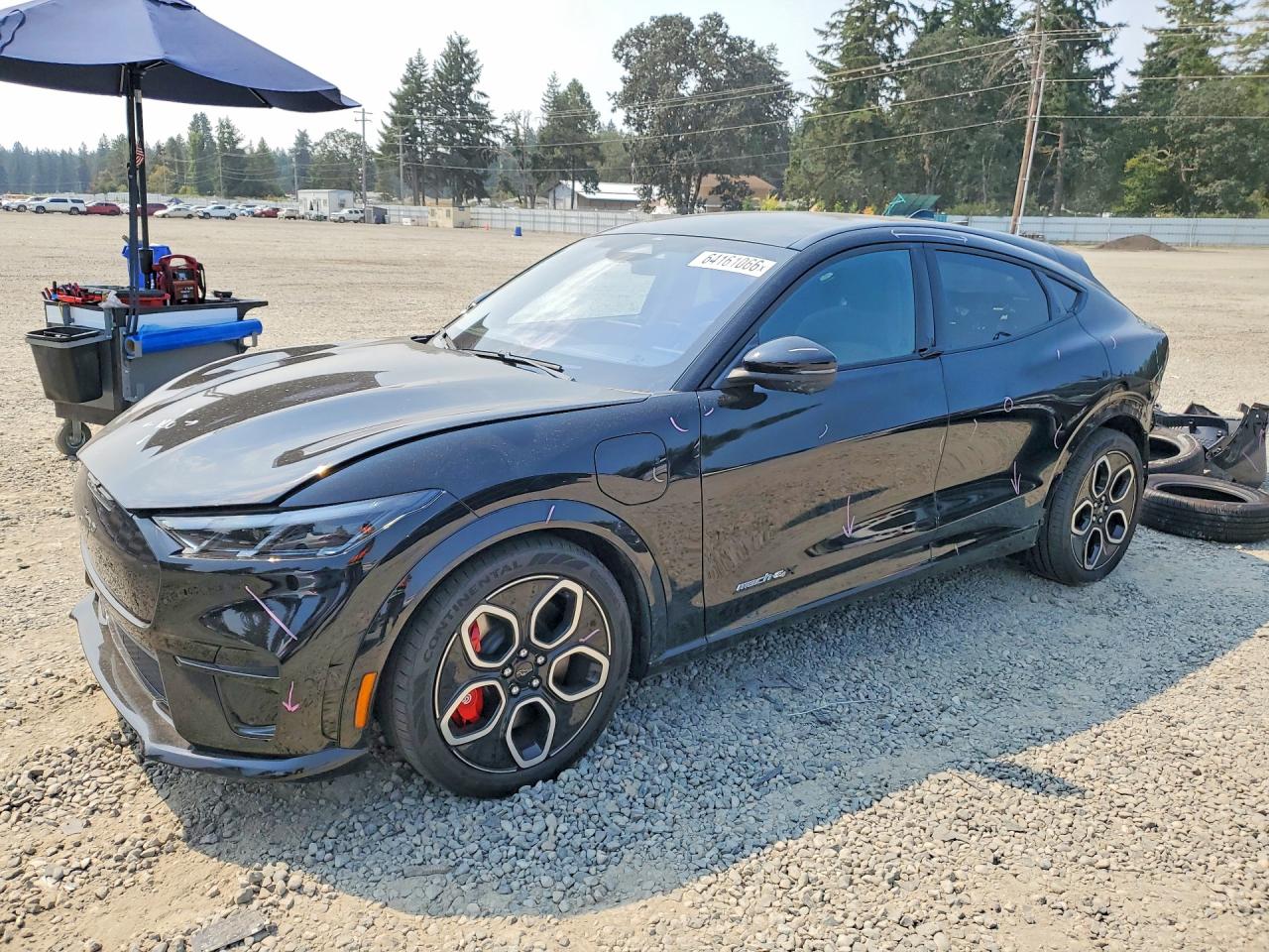 2024 Ford Mustang Mach-E GT, VIN 3FMTK4SX0RMA20327 — Зад