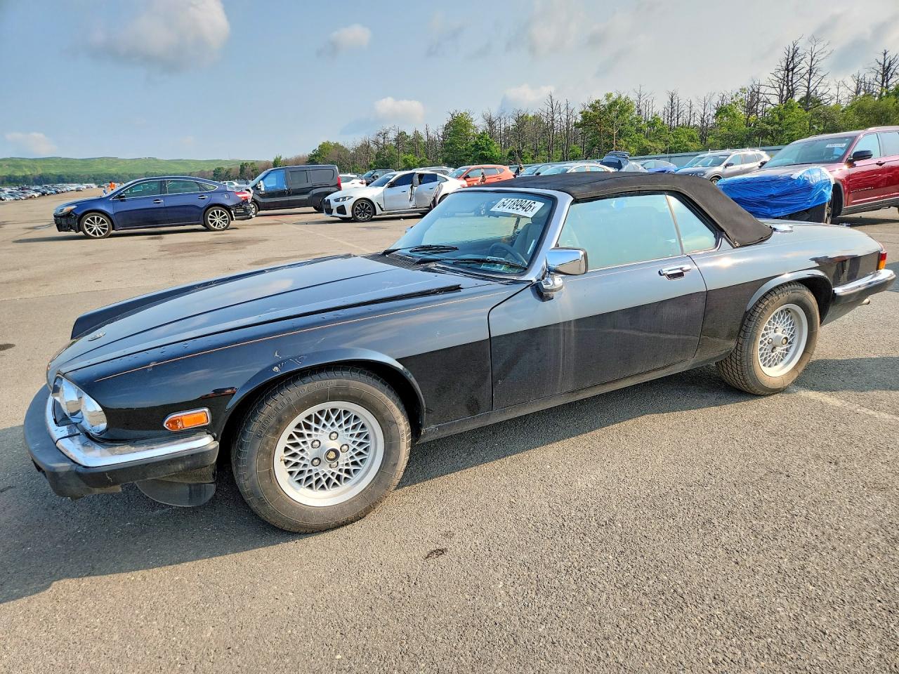 1989 Jaguar XJS, VIN SAJNV4845KC152168 — Днище