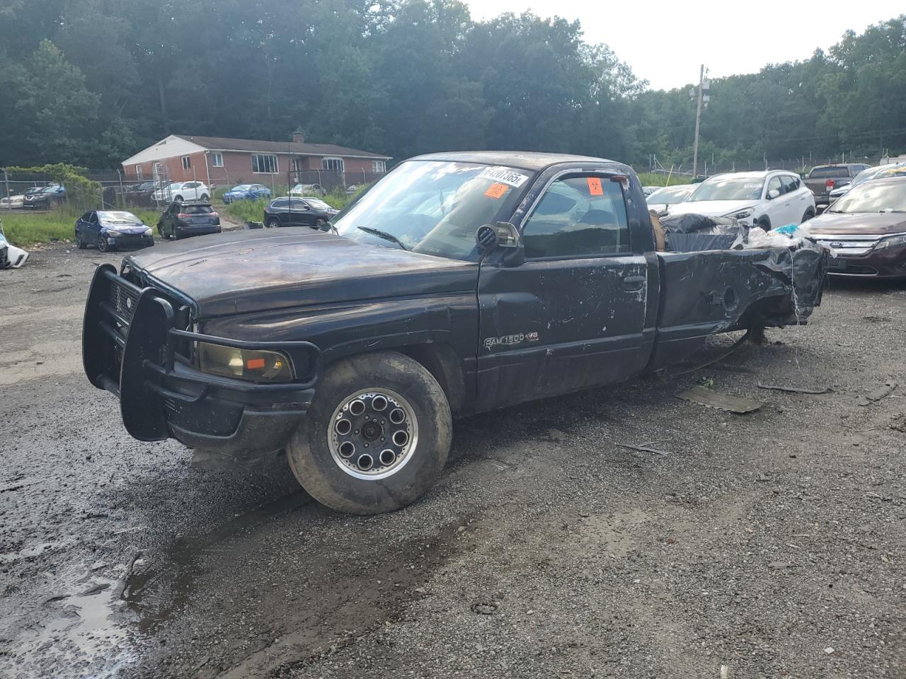 1995 Dodge RAM, VIN N0V1N64207365 — По всему кузову