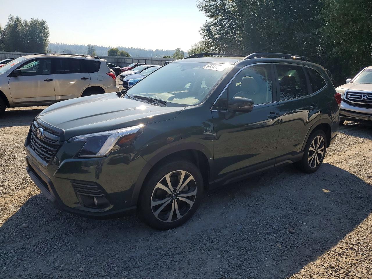 2022 Subaru Forester Limited, VIN JF2SKAPC6NH473257 — Зад