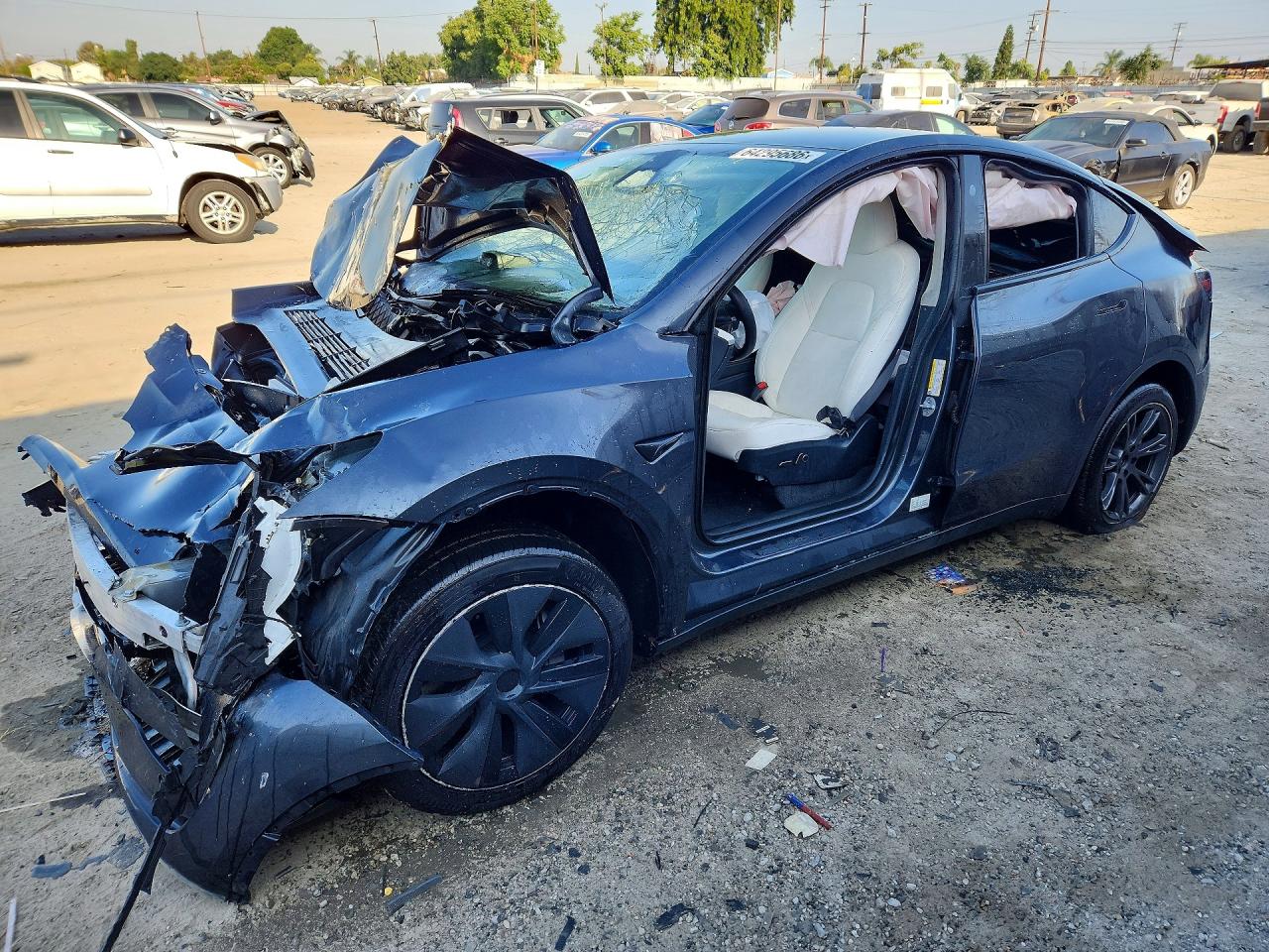 2025 Tesla Model Y Long Range, VIN 7SAYGDED0SF315549 — Перед