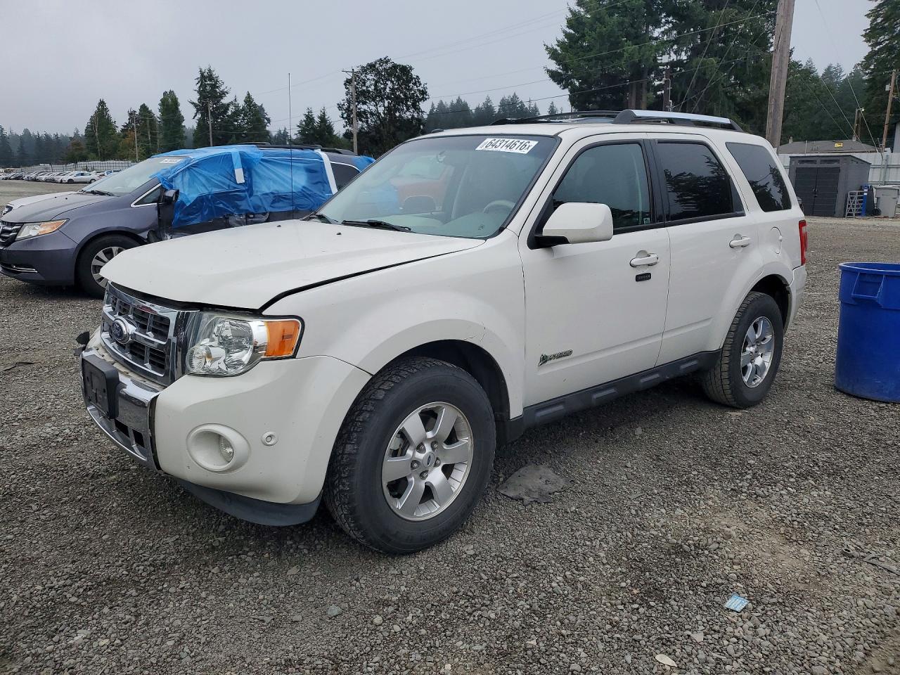 2010 Ford Escape Hybrid, VIN 1FMCU5K35AKC29488 — Front end