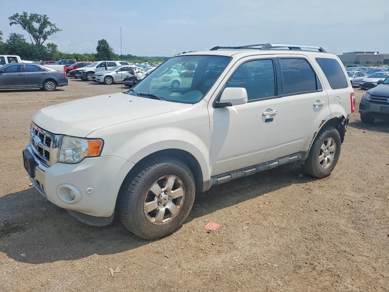 2012 Ford Escape Limited, VIN 1FMCU9EG1CKA72597 — Зад